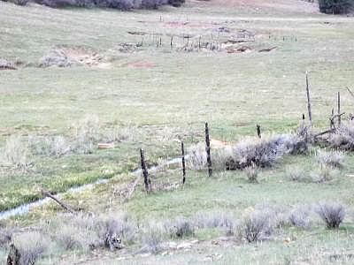 1st image of County Road 42zn Lot 1