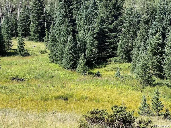 Lot 3141 Forbes Loop Road LOT 3141, Fort Garland, CO 81133