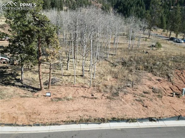 1415 Red Haven Pl, Woodland Park, CO 80863