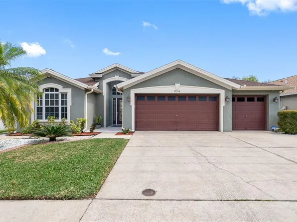 10555 San Travaso Dr, Tampa, FL 33647