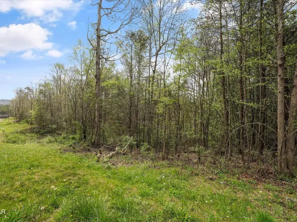 1433 Timber Trl Lot 21, Newport, TN 37821