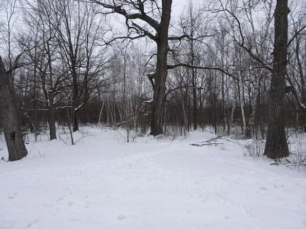XXX 150th Street, Milltown, WI 54858