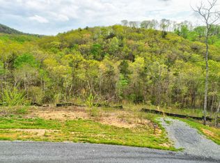 LOT 96 Vineyard At Yukon, Ellijay, GA 30540