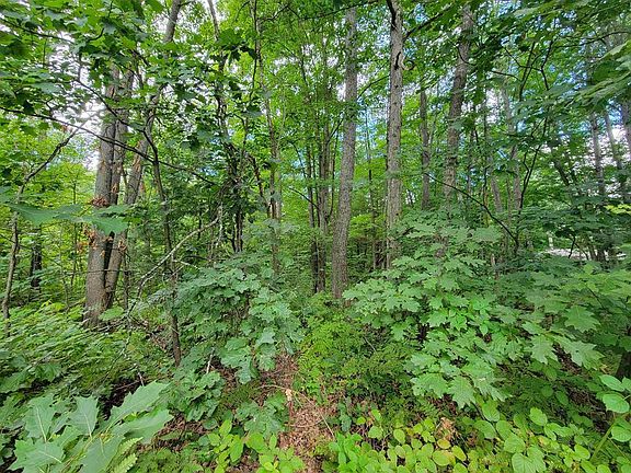 5th image of LOT 542 Winding Dr