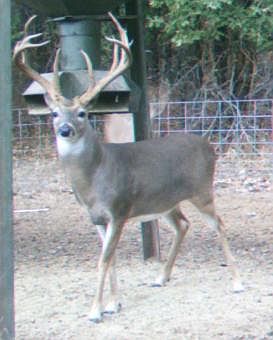 4th image of 14500 County Road 3700