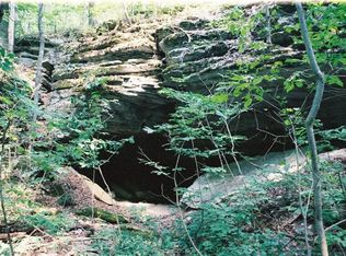 Hidden Springs Ln, Reeds Spring, MO 65737