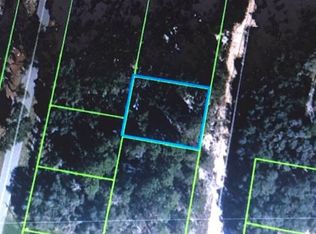 2975 N Livingston Rd, Avon Park, FL 33825