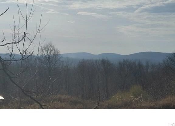 View from cleared area