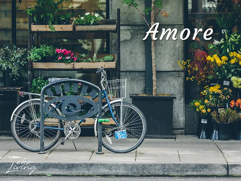 Amore — Photo 18