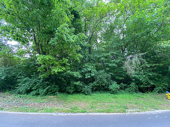 4th image of 729 Devictor Dr