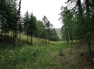 14850 Quandary Peak Trl, Pine, CO 80470