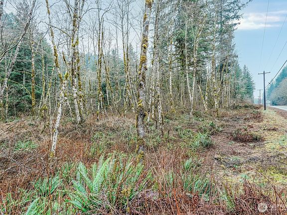 3rd image of 0 Washougal River Road