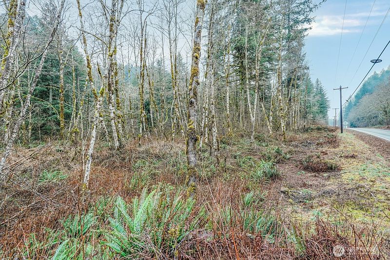 3rd image of 0 Washougal River Road