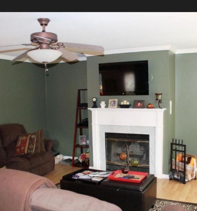 Living Room Fireplace