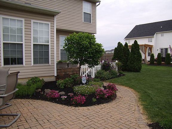 back yard (spring)