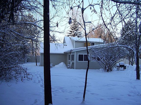 2009 Winter Snow - From Rear of Property