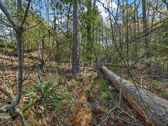 3rd image of 0 An County Rd #3193