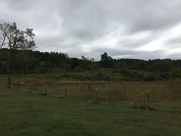 5th image of 176 Wildhorse Ln