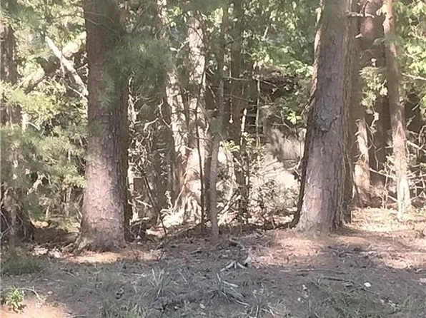 5109 Little River Dr, Gainesville, GA 30506