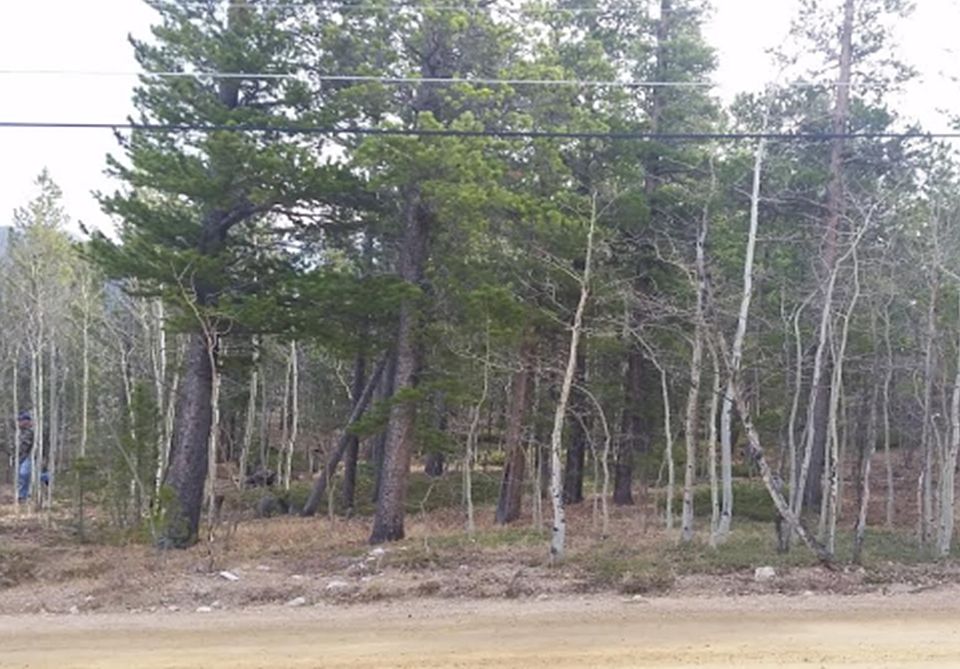 2nd image of 300 Lodge Pole Dr