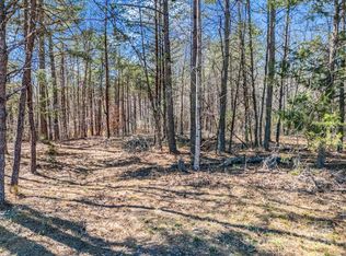 0 Petite Court, Rutherfordton, NC 28139