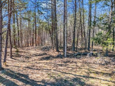 0 Petite Court, Rutherfordton, NC, 28139