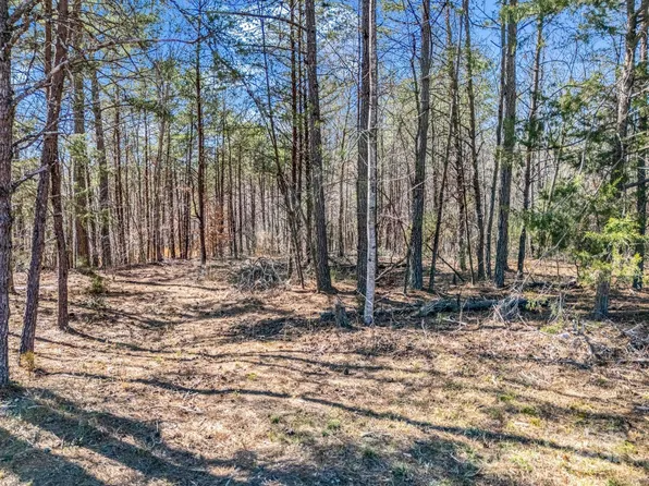 0 Petite Court, Rutherfordton, NC 28139