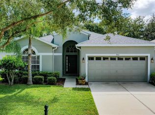 8207 Whistling Pine Way, Tampa, FL 33647