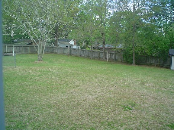 back yard (pic #1)
