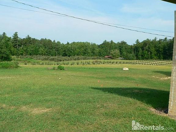 Rear view of apple orchards