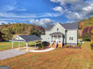 47 Downy Rd #2, Blue Ridge, GA 30513