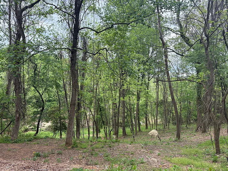 Hominy Preserve Ln — Photo 11