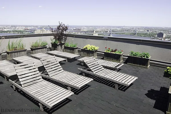 Rented by Nest Seekers International | media 38