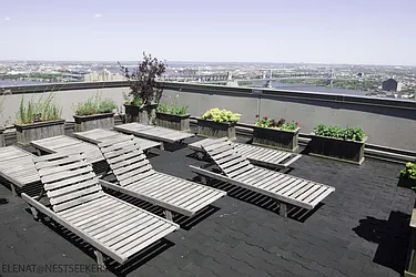 Rented by Nest Seekers International