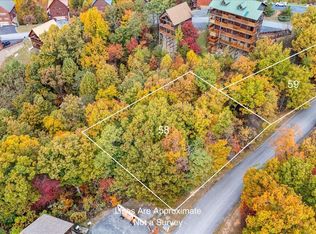 58-59 Mikey St, Sevierville, TN 37876