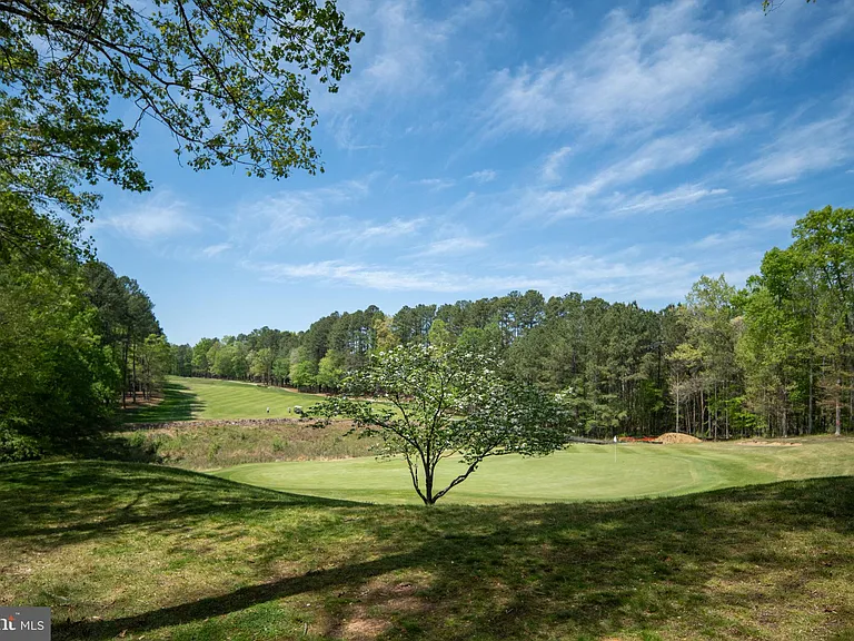 10919 Green Leaf Run — Photo 33