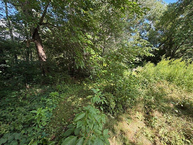 2nd image of LOT 1 E Madison St