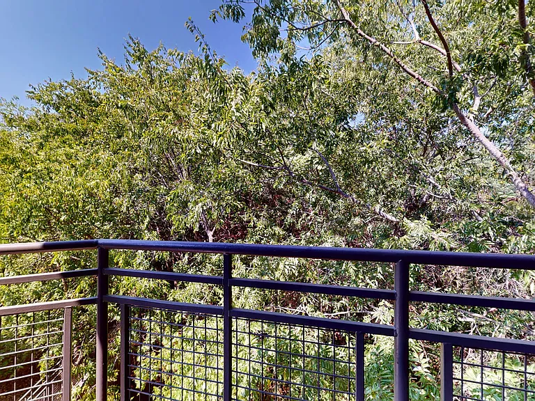 Barton Creek Landing — Photo 122