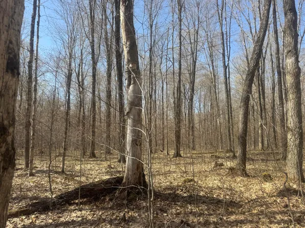 Tbd Sandtown Rd, Engadine, MI 49827