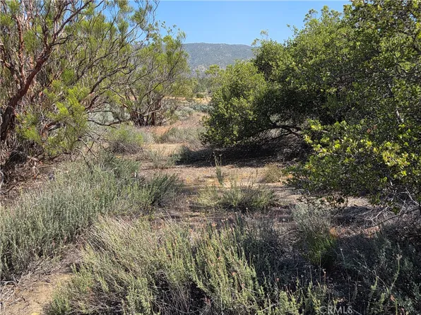 56941 Cain Rd Lot 14, Anza, CA 92539