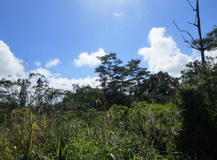 10th Ave LOT 1633, Keaau, HI 96749