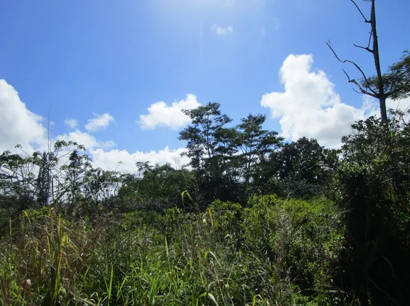 10th Ave Lot 1633, Keaau, HI 96749