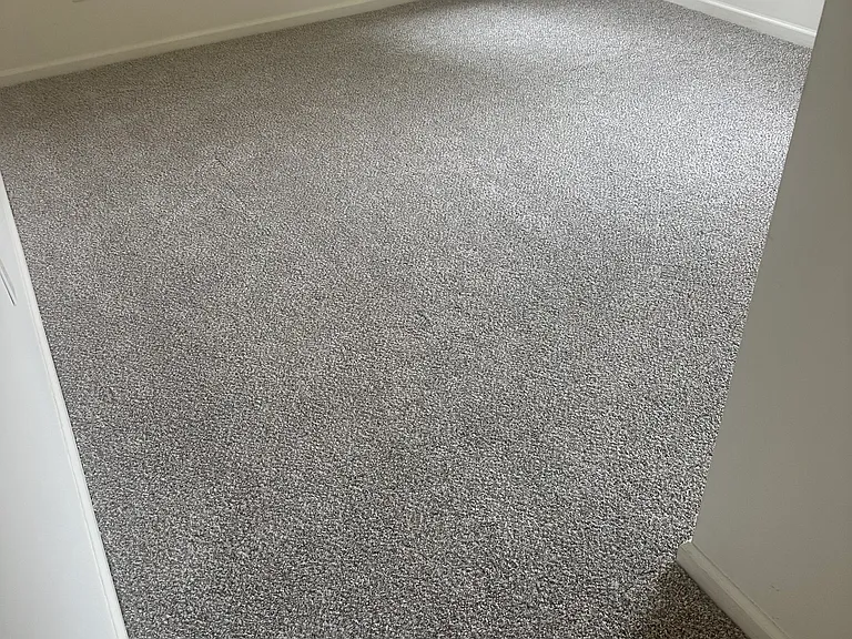 1 of 3 bedrooms - recently replaced carpet and painted walls in all bedrooms