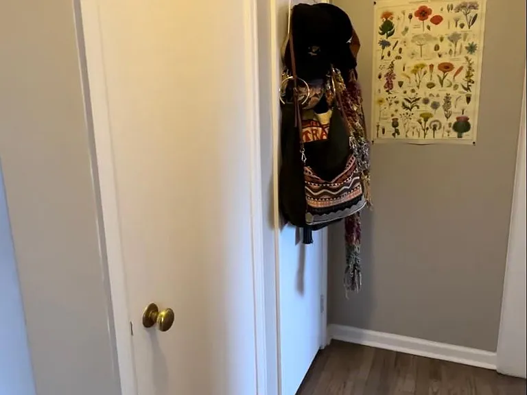 hallway linen and coat closet