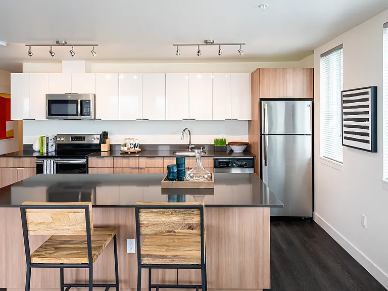 Stylish Kitchens