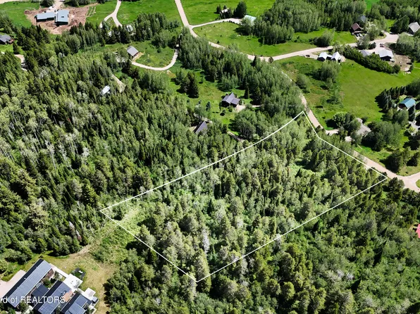 5980 Syringa Dr, Victor, ID 83455
