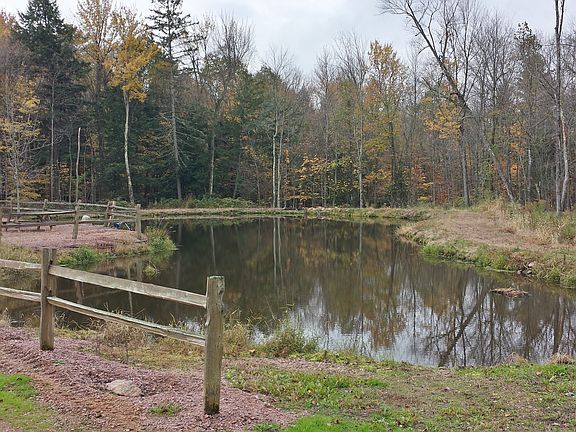 Pond