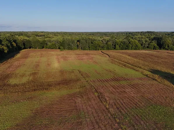 37 Verdin St NW, Stanchfield, MN 55080