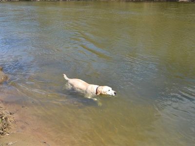 S Water St, Madison, NC, 27025