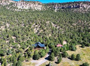 111 Catamount Ct, Ridgway, CO 81432